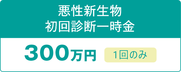 悪性新生物初回診断一時金 300万円